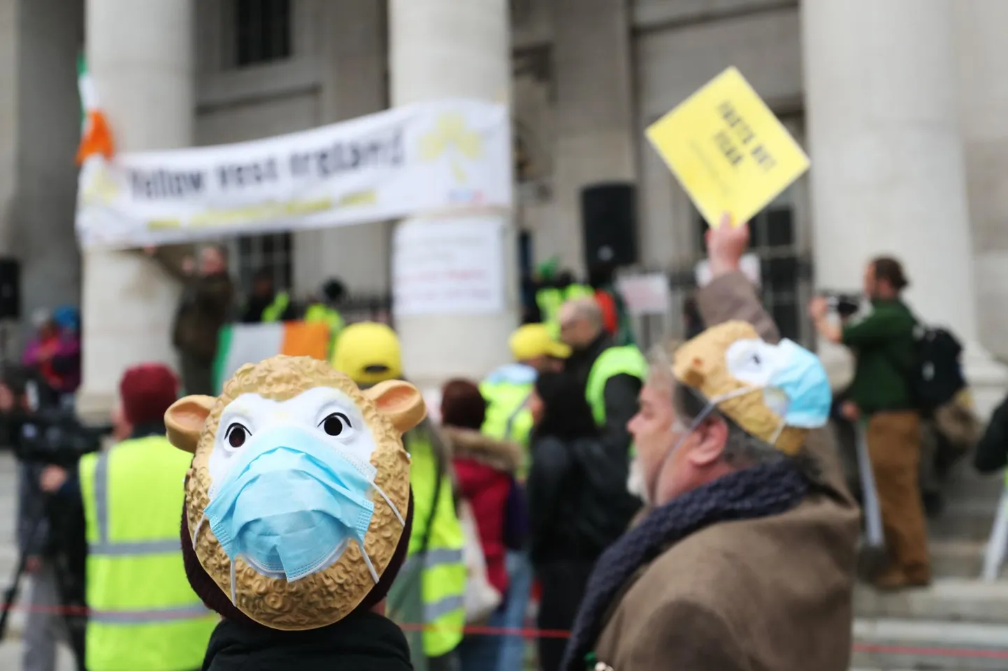 Homme korraldatakse maskivastane meeleavaldus Tallinnas, kuid mujal maailmas on neid toimunud juba ridamisi. Nii nagu Eestiski tehakse, kujutasid ka pildil olevad Iiri protesteerijad maskikandjaid lammastena.