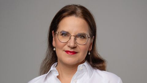 ÜKS KÜSIMUS ⟩ Kas Narva volikogu mittekokkukutsumine oli seaduslik?