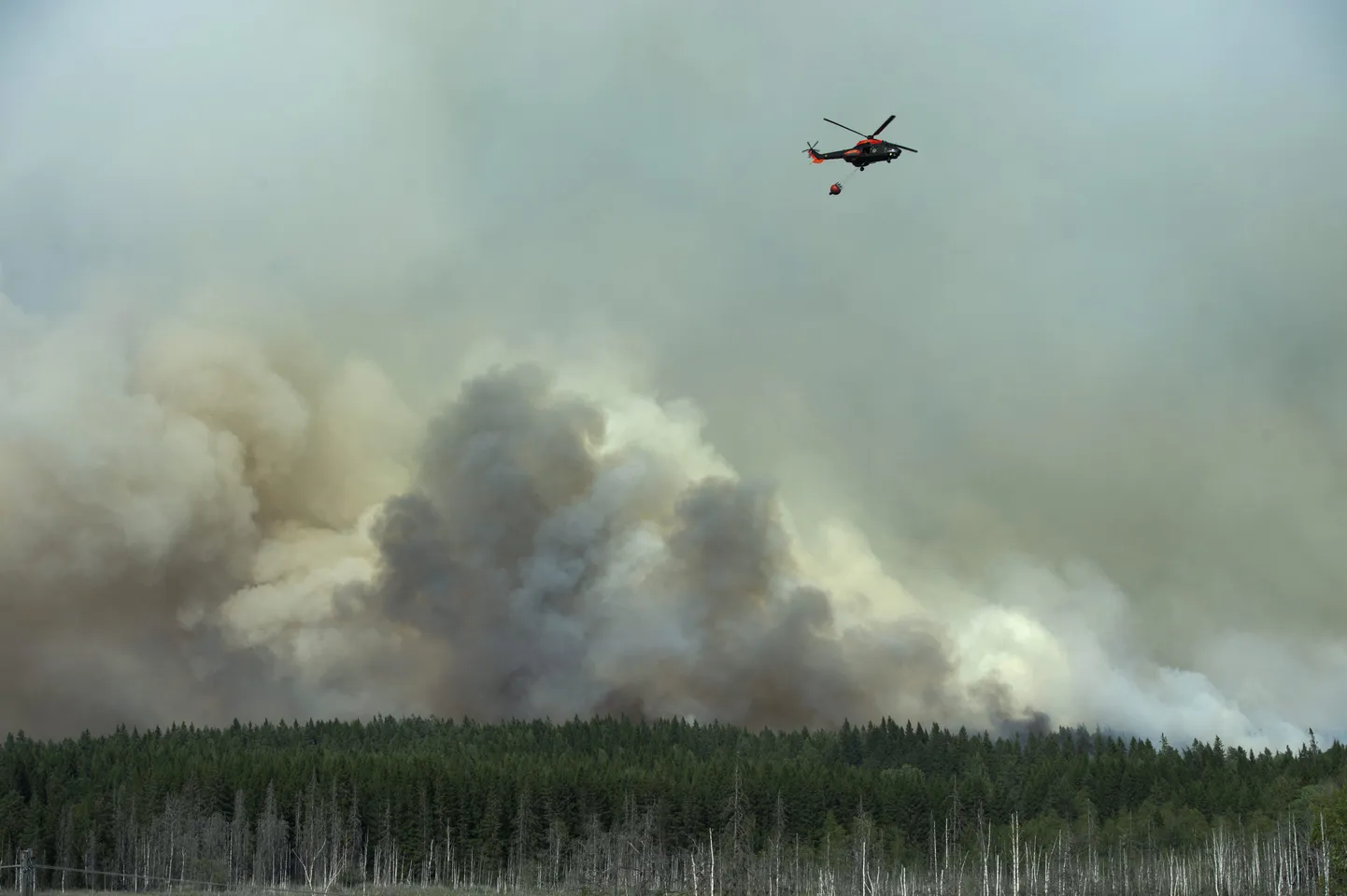 Rootsi metsa- ja maastikupõlengu kustutustööd