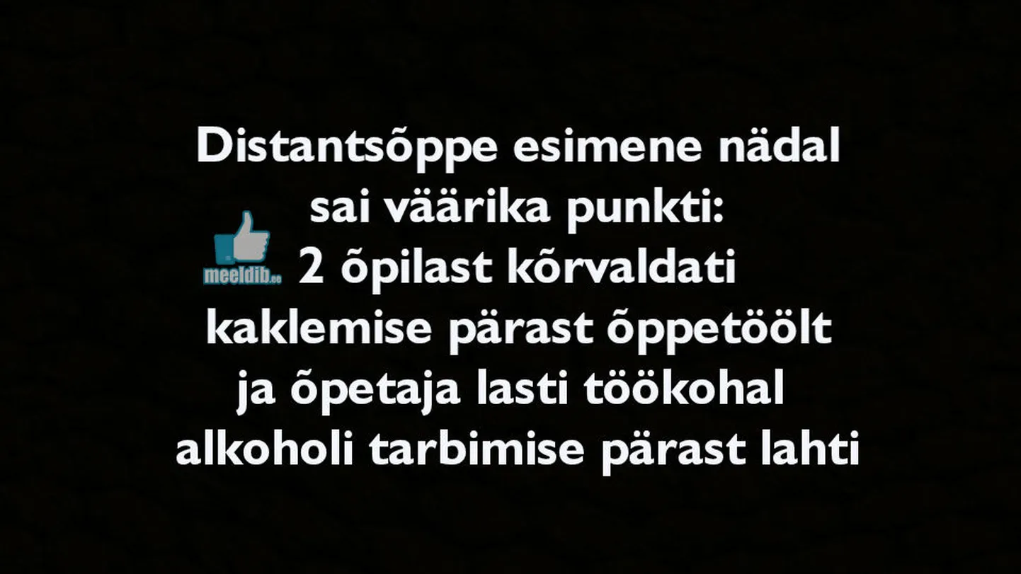 Artikli foto