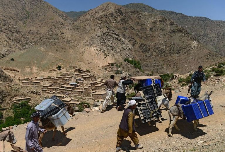 Афганские дороги и инфраструктура в целом не готовы к сырьевому буму. Денег на это не было даже при американцах