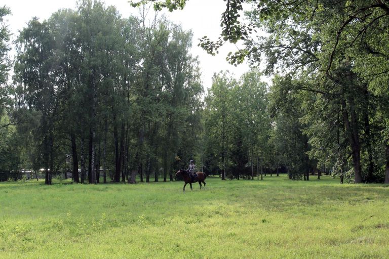Idee nr 24. Puhkepark Ülejõe ja Raadi-Kruusamäe linnaosa piirile, vana sõjaväeosa territooriumile (Kasarmu 3). Puhkepargis oleksid piknikuala, vahendid sportimiseks ning mänguväljak, mis arvestaks ka liikumispuudega lastega.