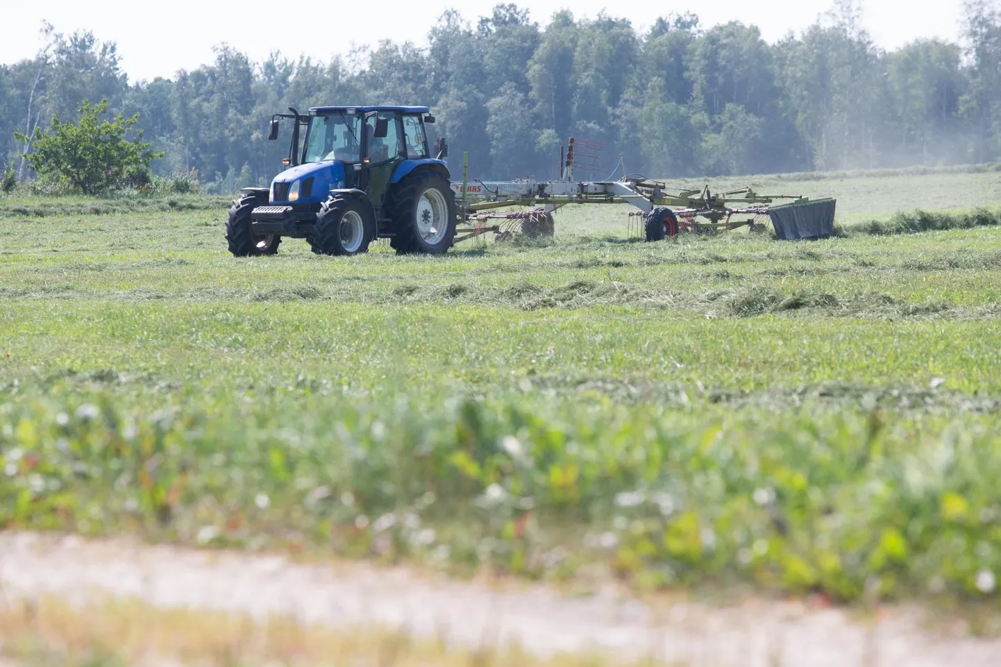Kui endal silomaterjali napib, võtab põllumees riski minna ka n-ö võõrale põllule.