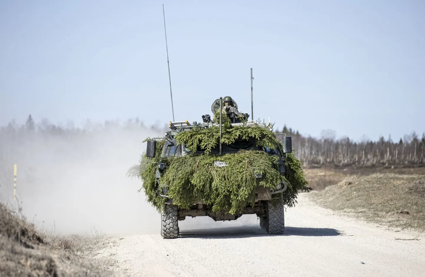 Kevadtorm