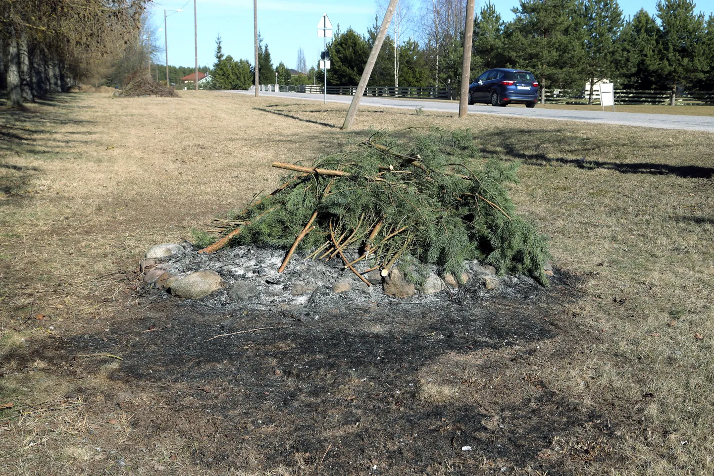 Ihastes on Kasesalu tee ja Triigi tänava ristmiku lähedale kokku tassitud viis oksahunnikut. Kohe nende kõrval kasvavad kenad lehised ning kiviviske kaugusel elab hulk inimesi.
