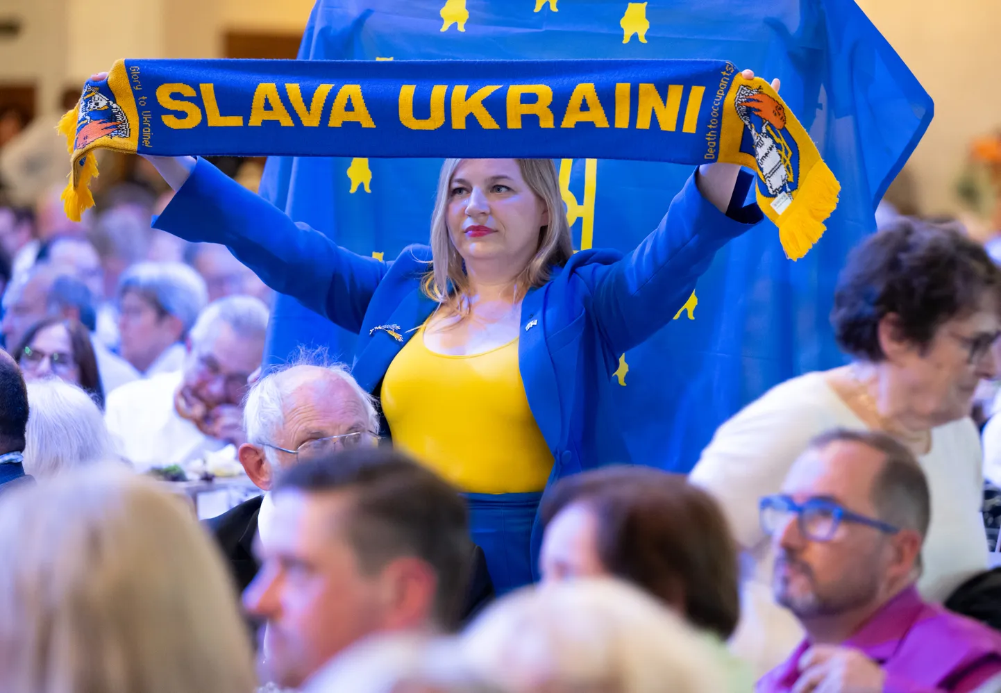 Некоммерческая организация ​Slava Ukraini