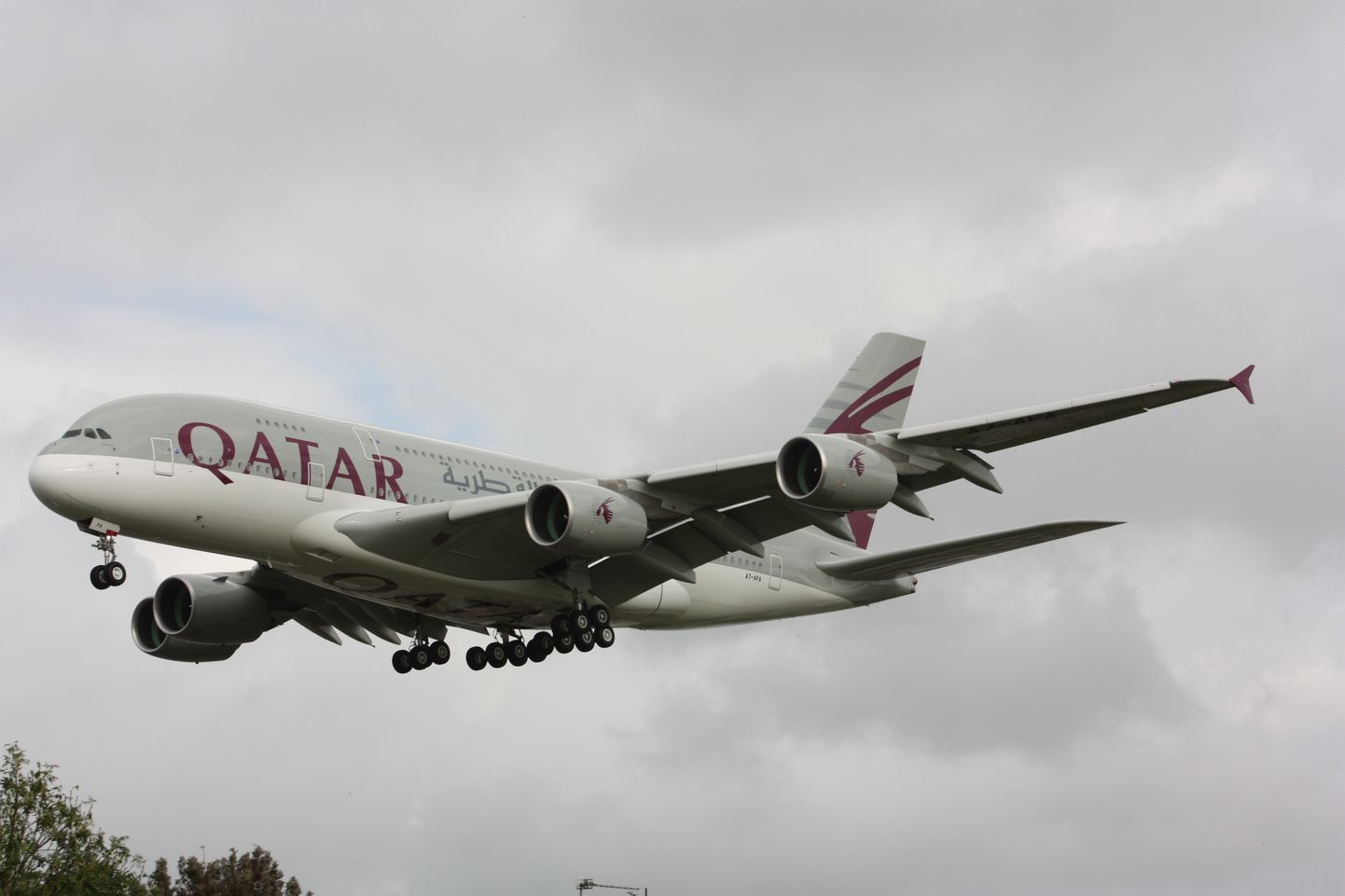 Tillukese maa kohta on Qatar Airways väga suur ja edukas lennufirma. Tavaliselt pälvitakse kiitust ning ootamatu kriitika viis kompanii nüüd meeleheitlike sammudeni.
