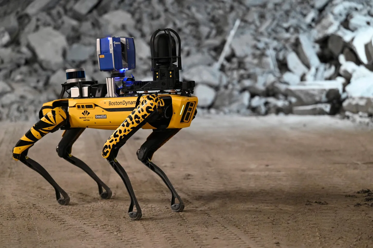 Kaugjuhitav robotkoer.