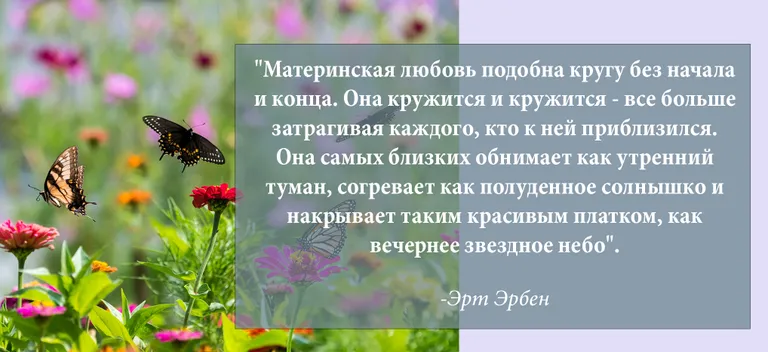 Фото статьи