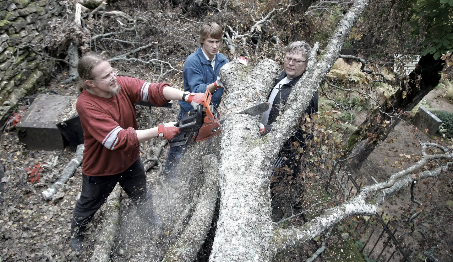 Esmaspäeval saagis Rakvere Kolmainu koguduse õpetaja Tauno Toompuu koos abilistega Karl Mäesepa ning Rannar Vassiljeviga linnakalmistul endiste pastorite haudadele langenud puid.