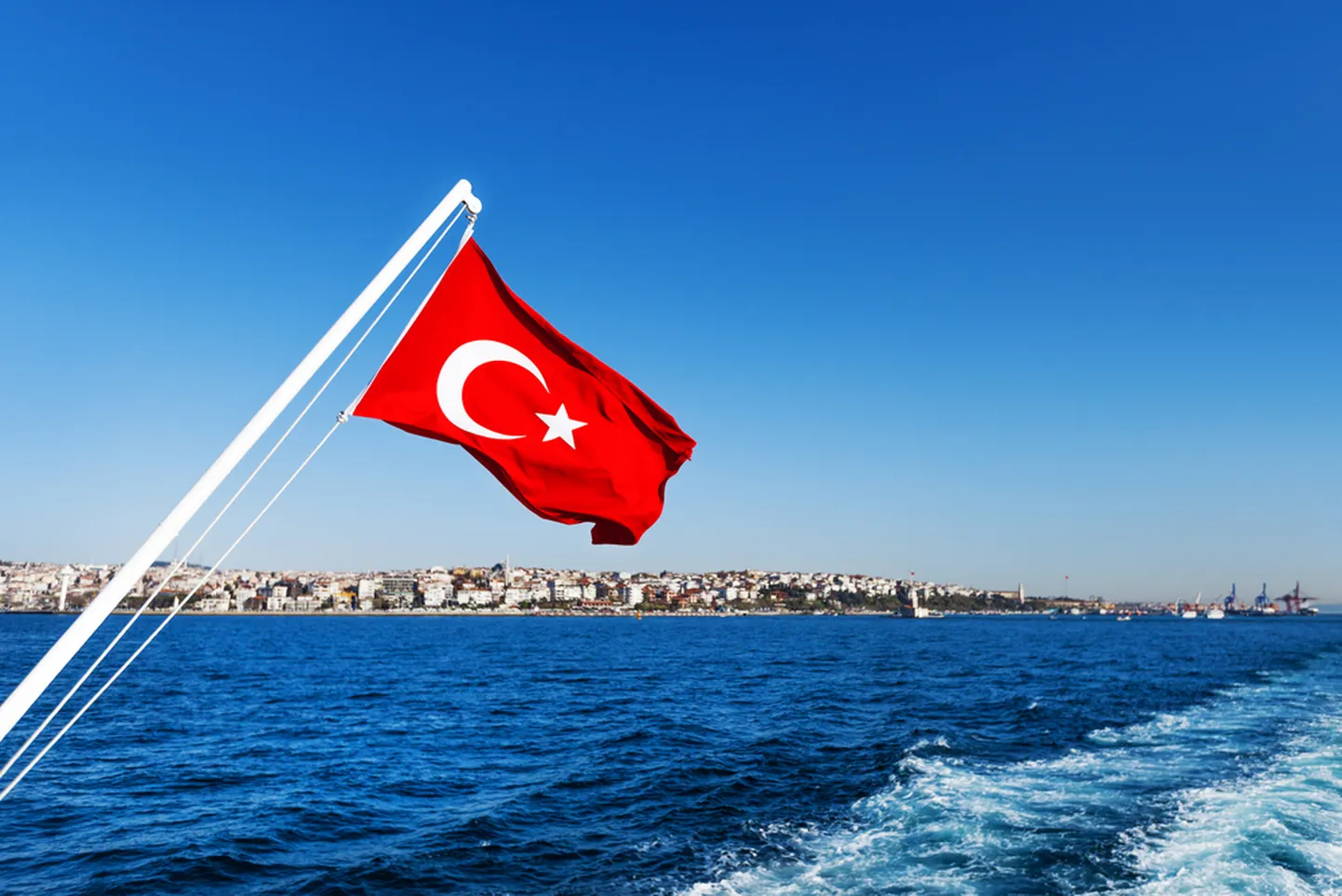 Artikli foto
