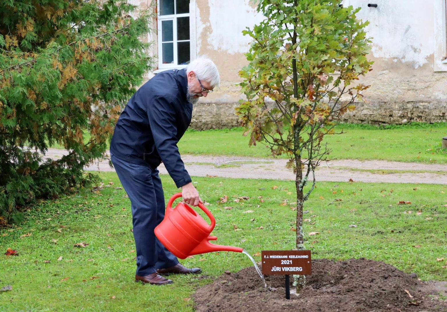 Wiedemanni keeleauhinna tänavune laureaat keeleteadlane Jüri Viikberg istutas Väike-Maarja keeletammikusse omanimelise puu.