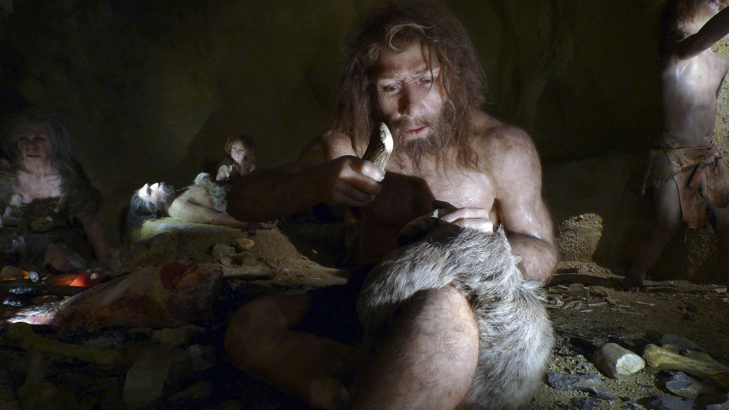 Neandertallased leiutasid toidu kotis keetmise?