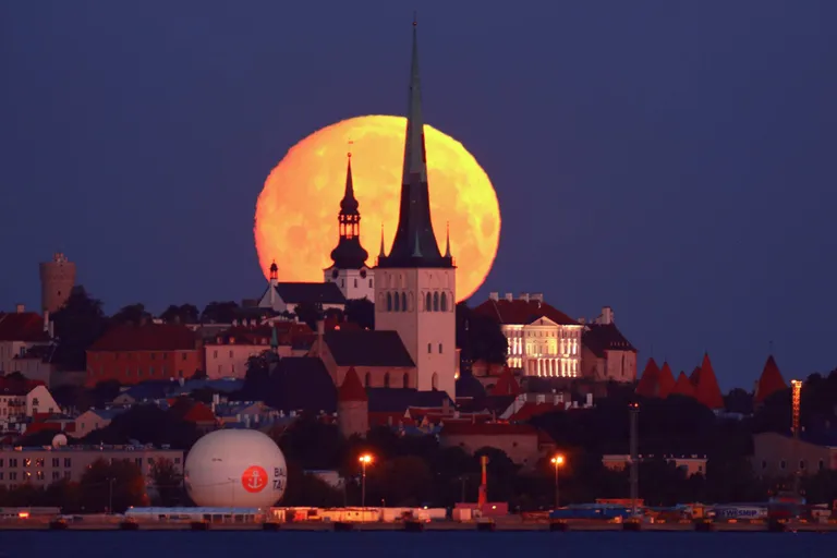 (foto: Martin Vällik)