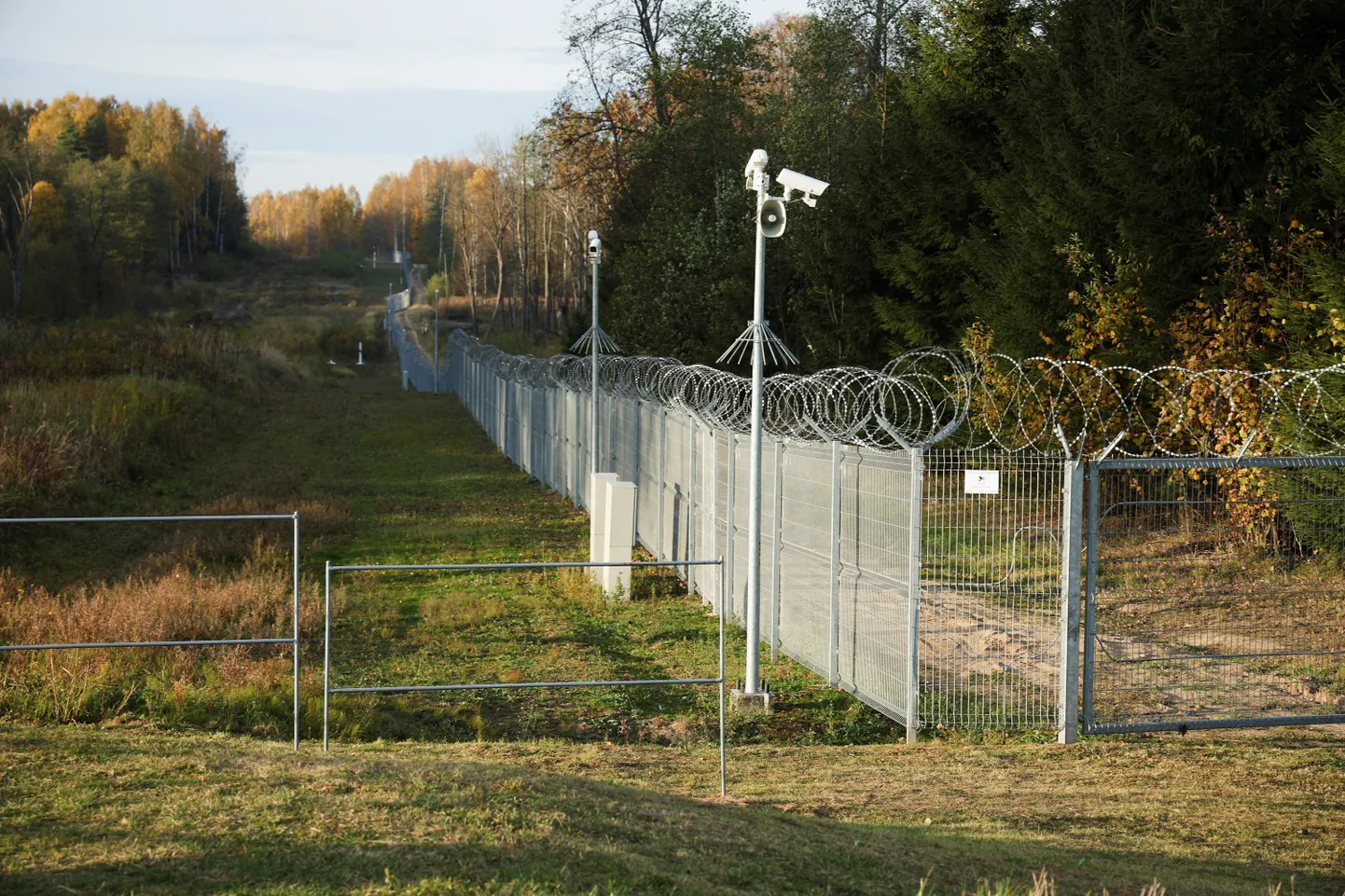 Raksta foto