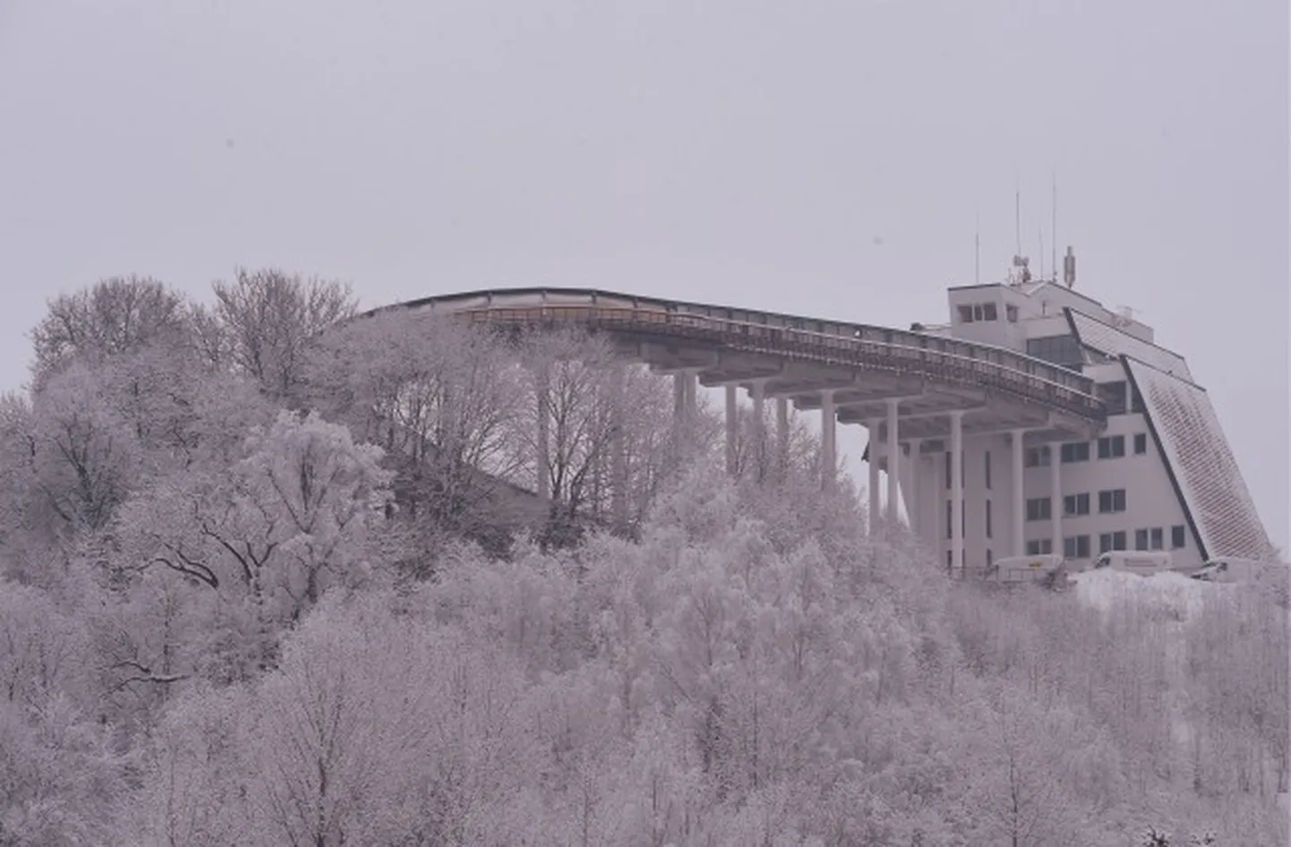 Фото статьи