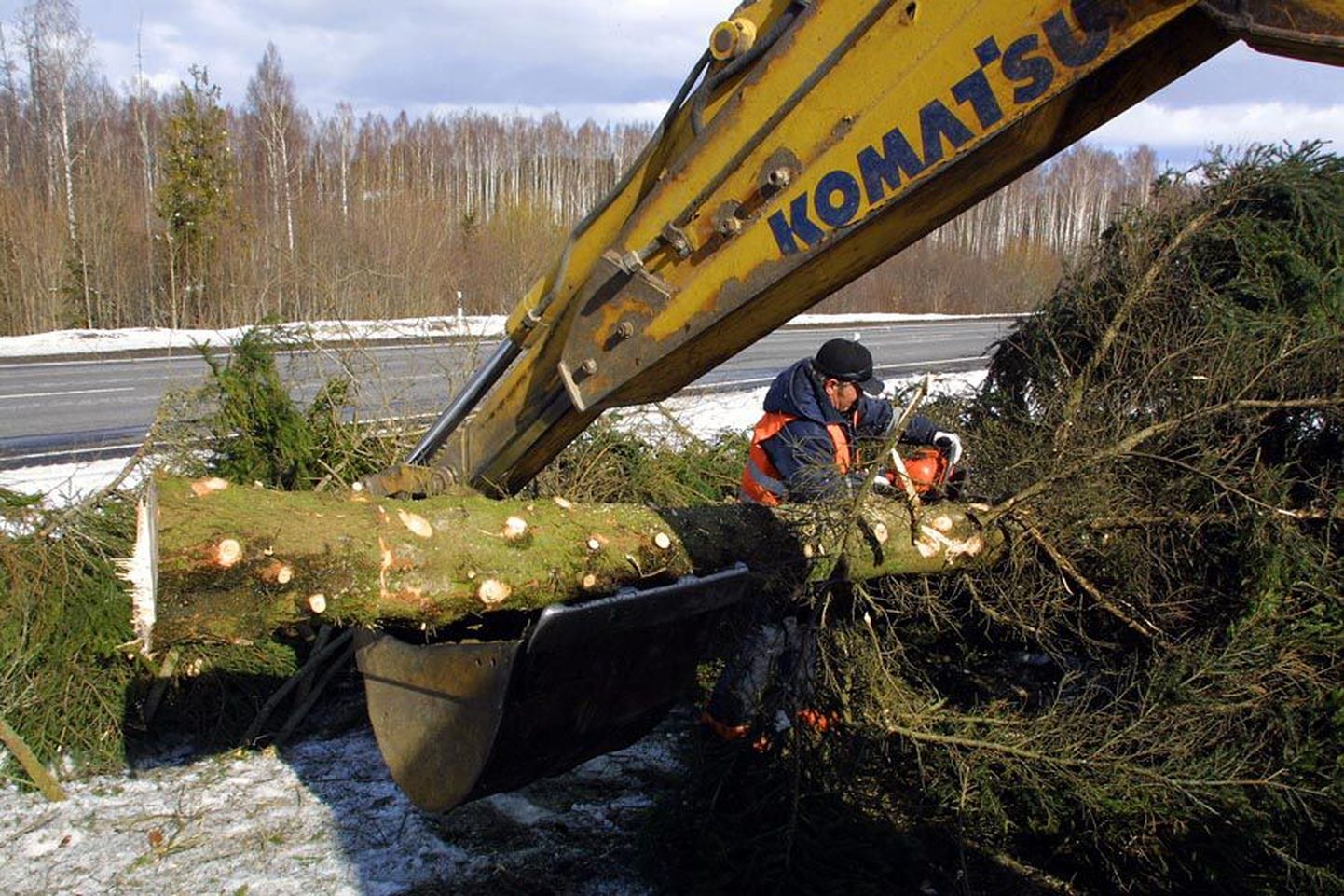 Sakala Teede mehed langetasid eile Uusna ja Tänassilma vahelisel lõigul teeremondile ette jäävaid puid.