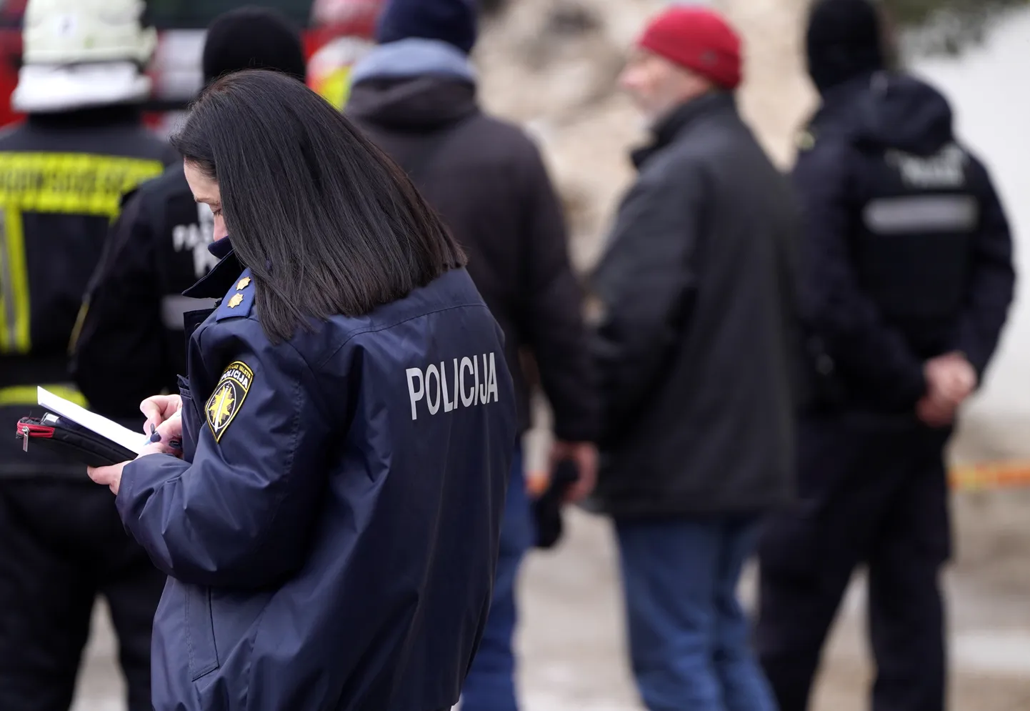 Raksta foto