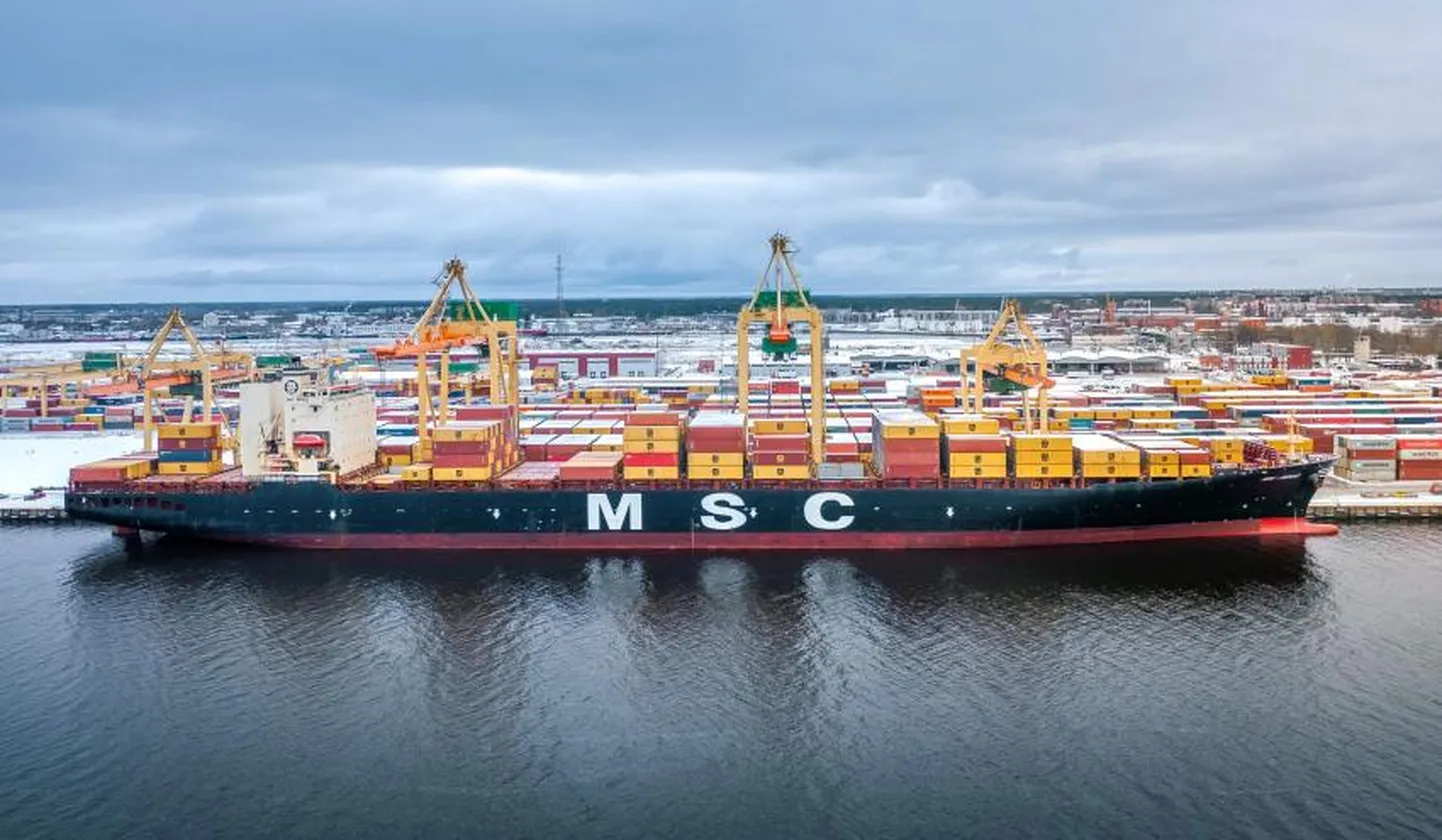 MSC INGRID