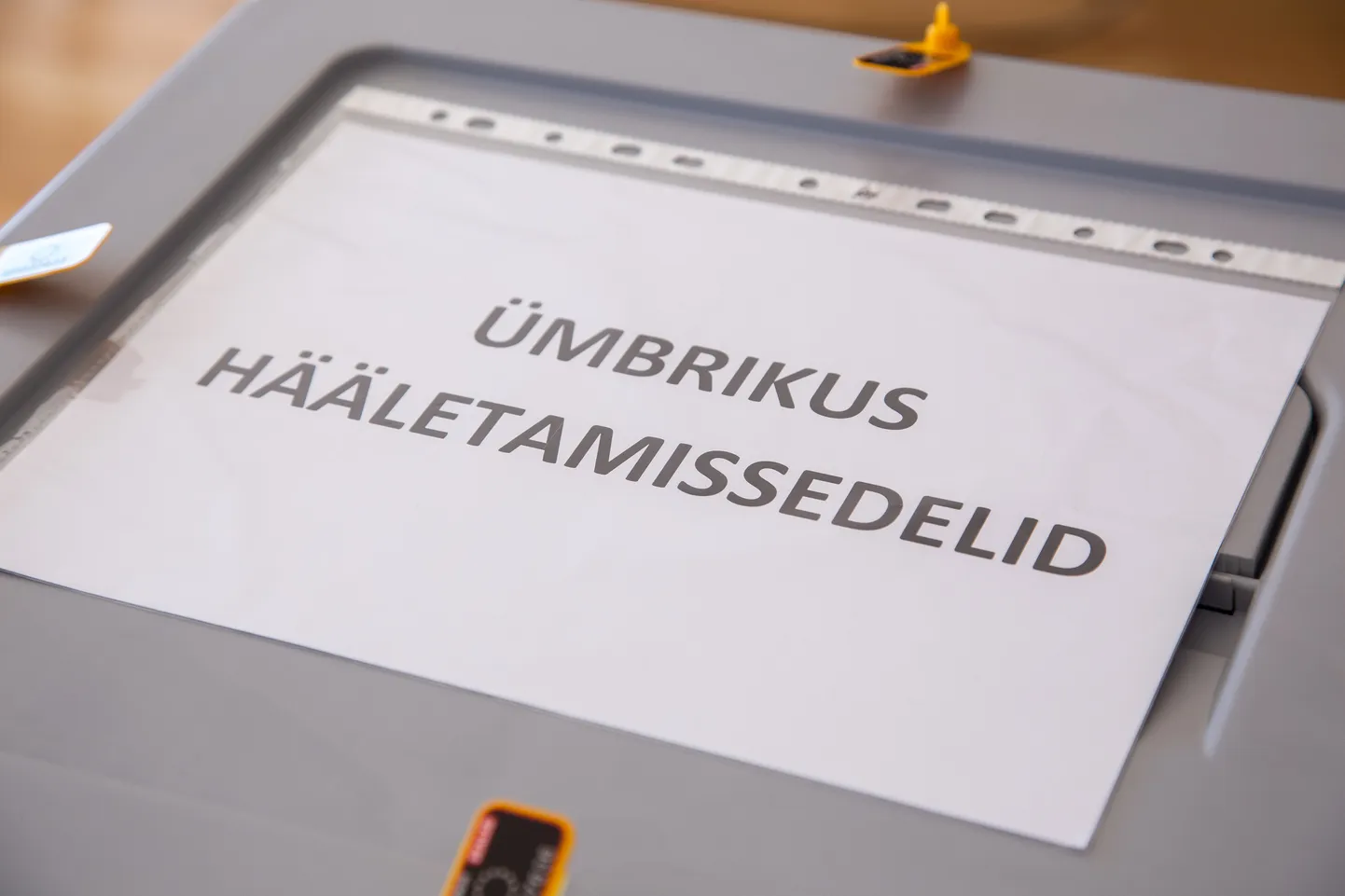 Euroopa parlamendi valimised Paides