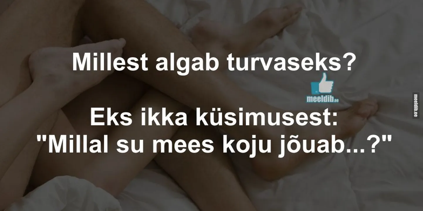 Artikli foto