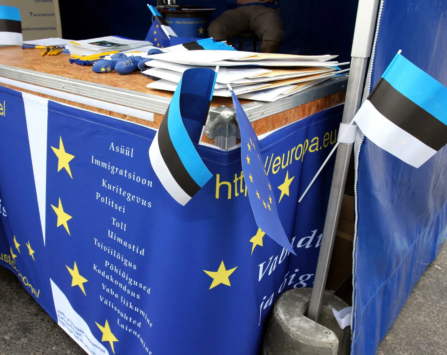 Euroopa Parlamendi valimised on 25. mail.