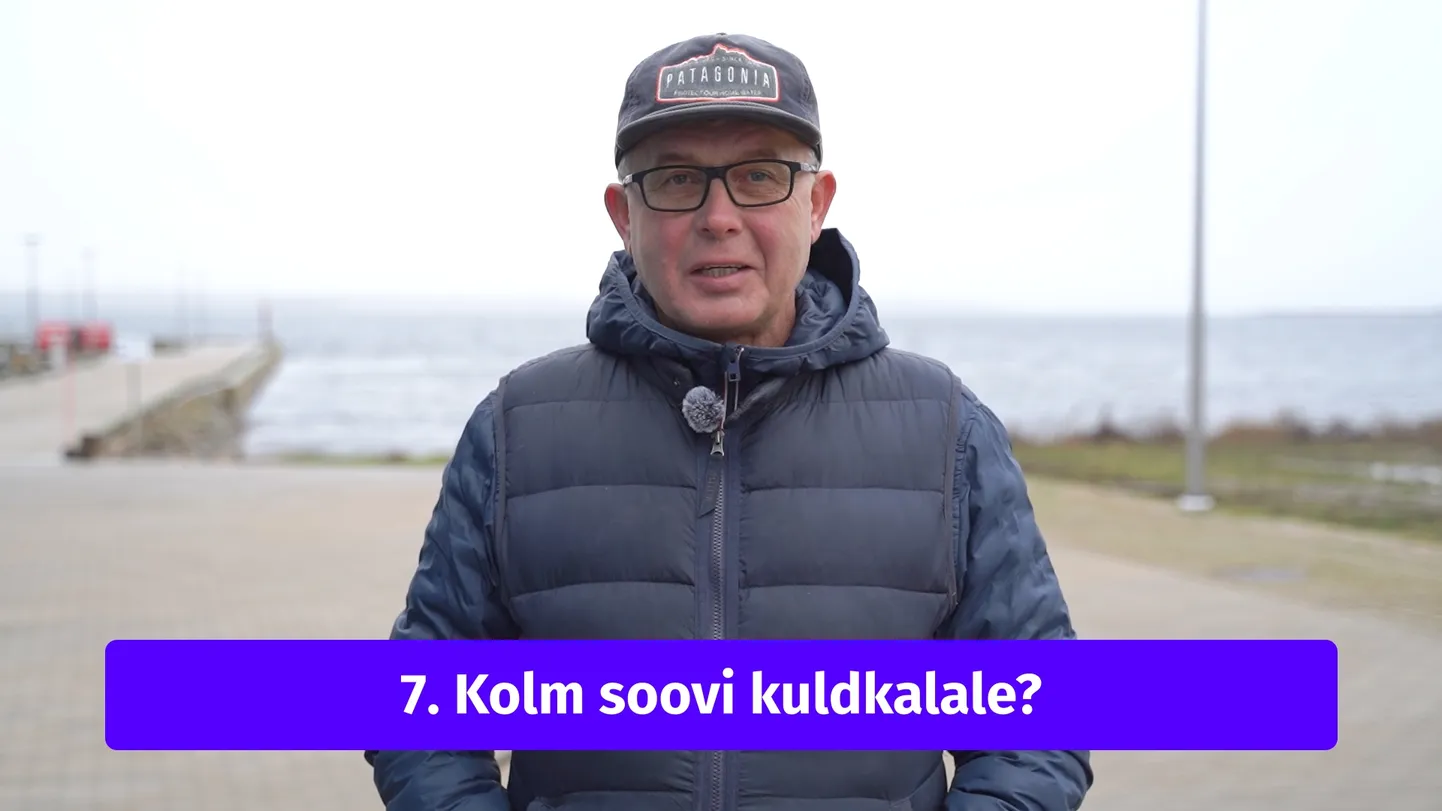 Meelis Saarlaid