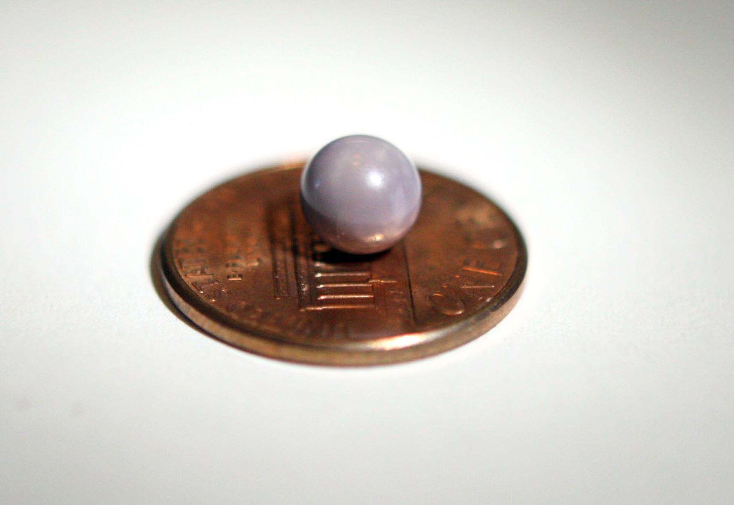 Merekarbist leitud violetne pärl jääb pärlitööpäevaliste jaoks paraku unistuseks.