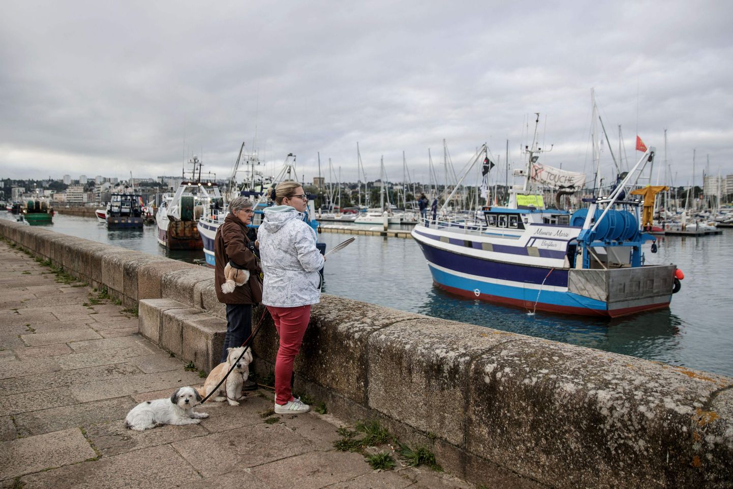 Kalapüügilaevad Prantsusmaal Cherbourg'i sadamas tänavu septembris.