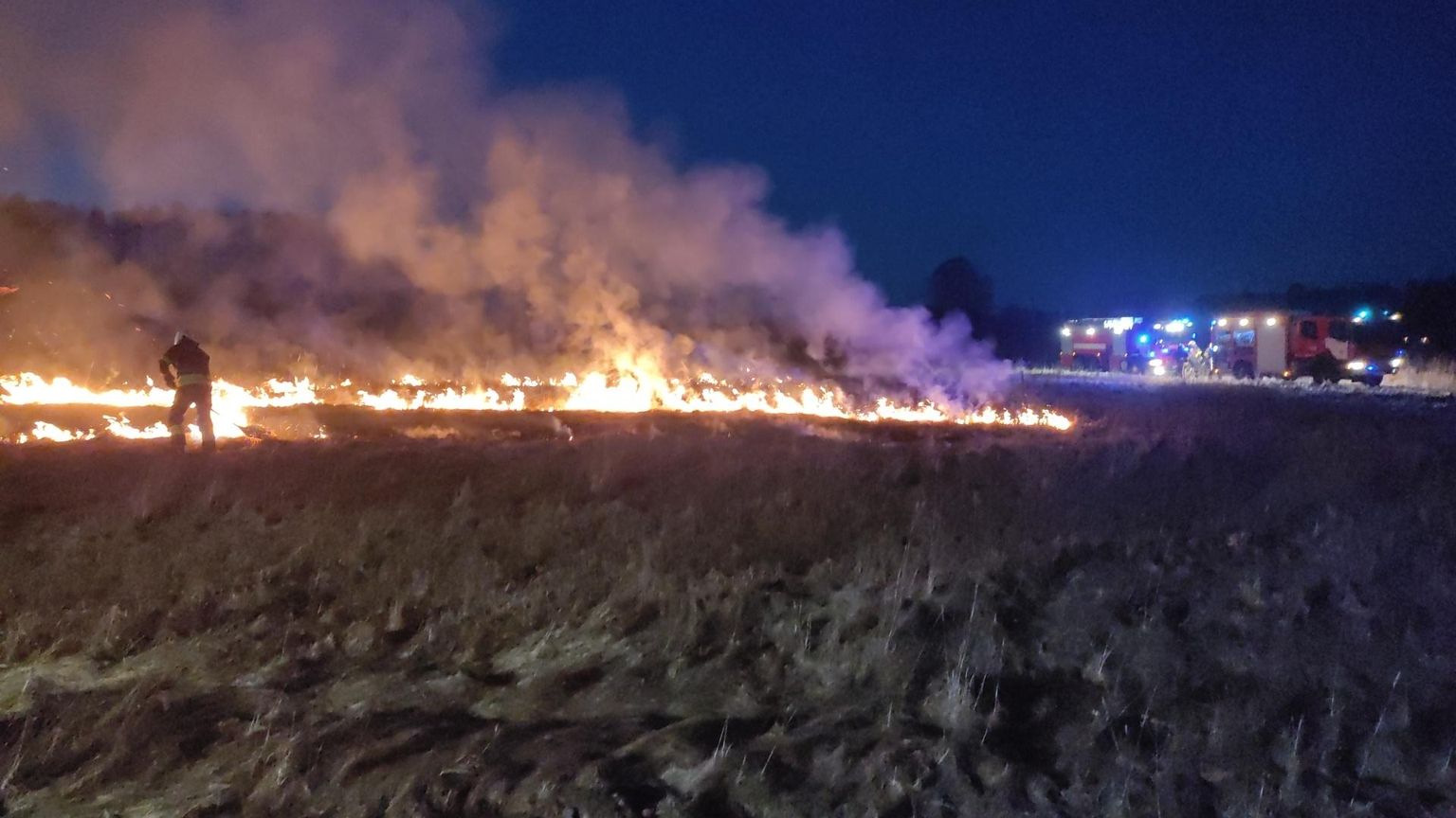 Võiste alevikus Allika tänava piirkonnas põles eile õhtul kulu ligemale hektarilisel alal.