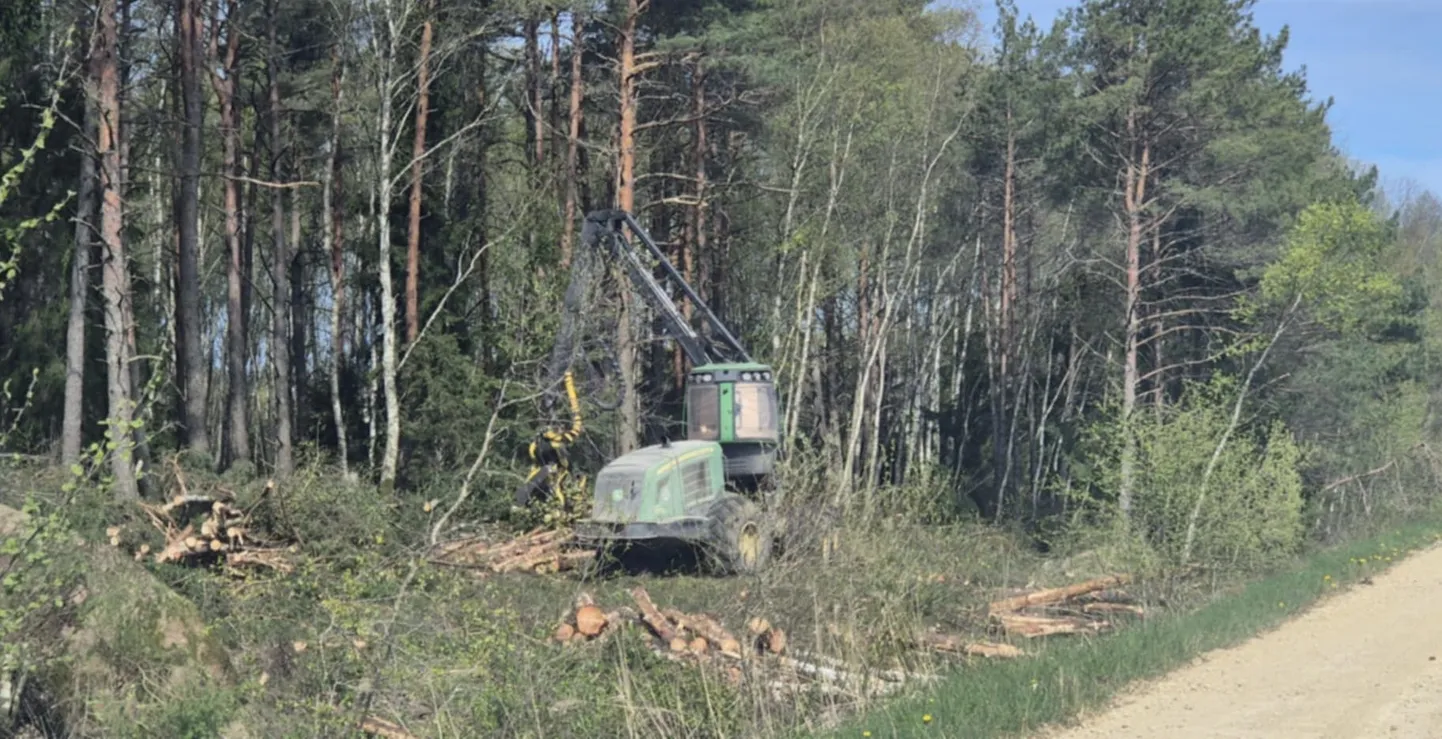 Teisipäeval käis Saaremaal metsaraie kohe tee ääres kuival kõrgendikul, puudus õigustus, et raietöid poleks saanud sügisel või talvel märjemate ilmadega teha.