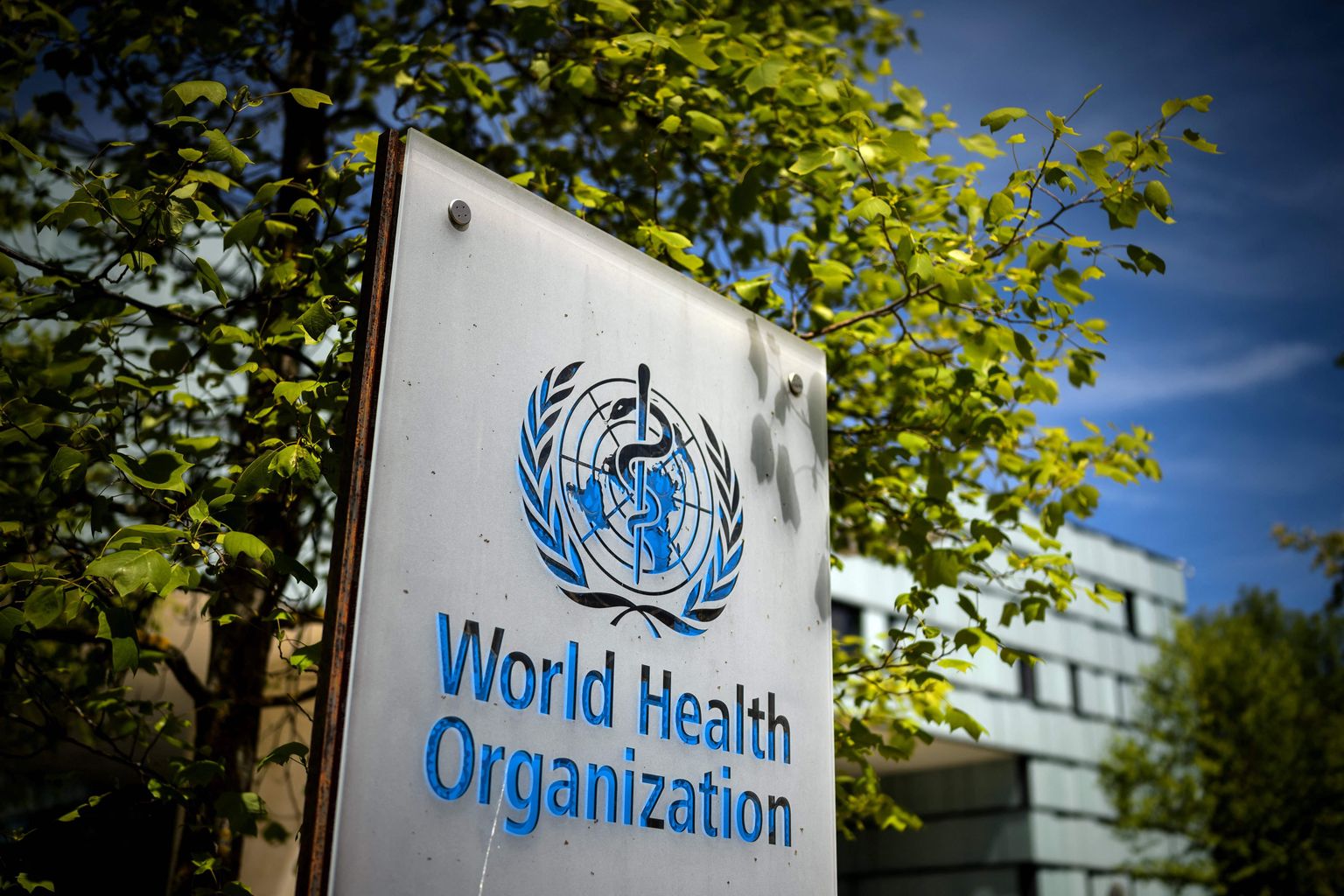 Maailma Terviseorganisatsioon.