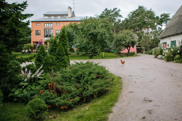 Naima Küti talu uhkuseks on iluaed, mis talupidamist ümbritseb.
