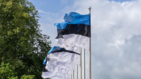 ROLAND TULIK ⟩ Ka muuseumis esitatavad nägemused on paratamatult julgeolekuküsimus