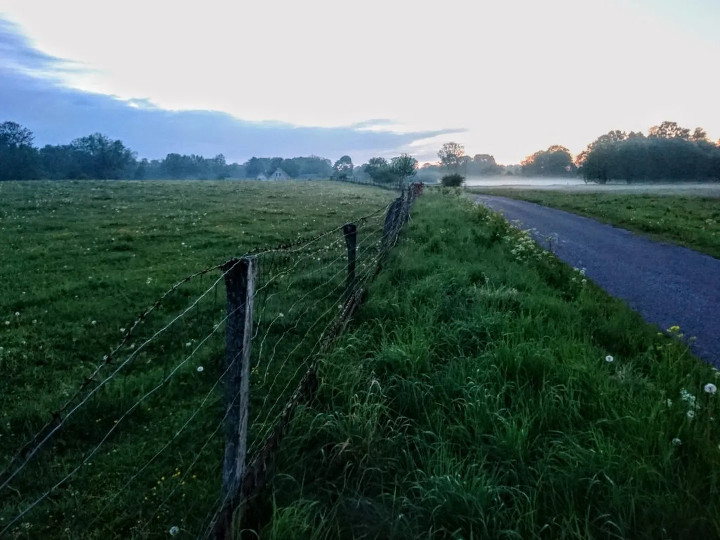 Lülle külatänav suveöös.