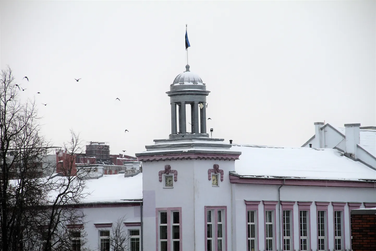 Нарвская городская управа