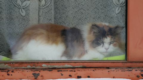 Холодная погода и рост затрат на электроэнергию в ближайшие месяцы повлияют на инфляцию