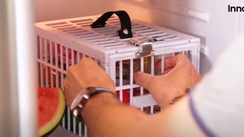 EI NÄKSIMISELE ⟩ Eesti veebipoest saab lahenduse söömiskiusatustele: lukustatav puur külmkappi