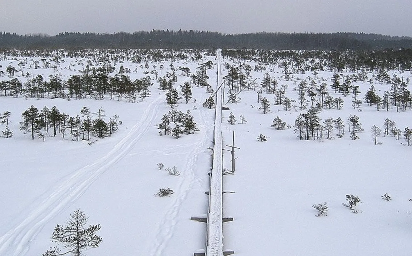 Talvine Männikjärve raba. Laudtee viib vaatetornini, kus seitsme meetri kõrguselt avaneb vaade tüüpilisele laukarabale.