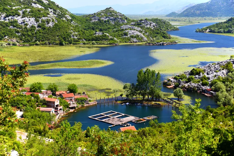 Raksta foto