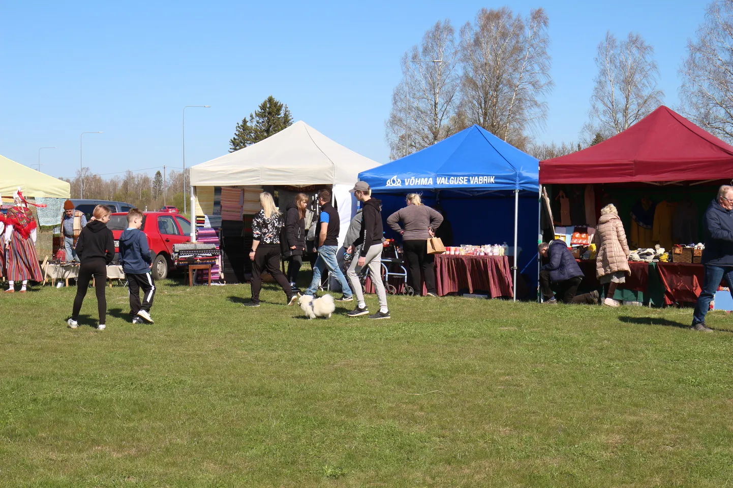 Tikupoisi kevadlaat