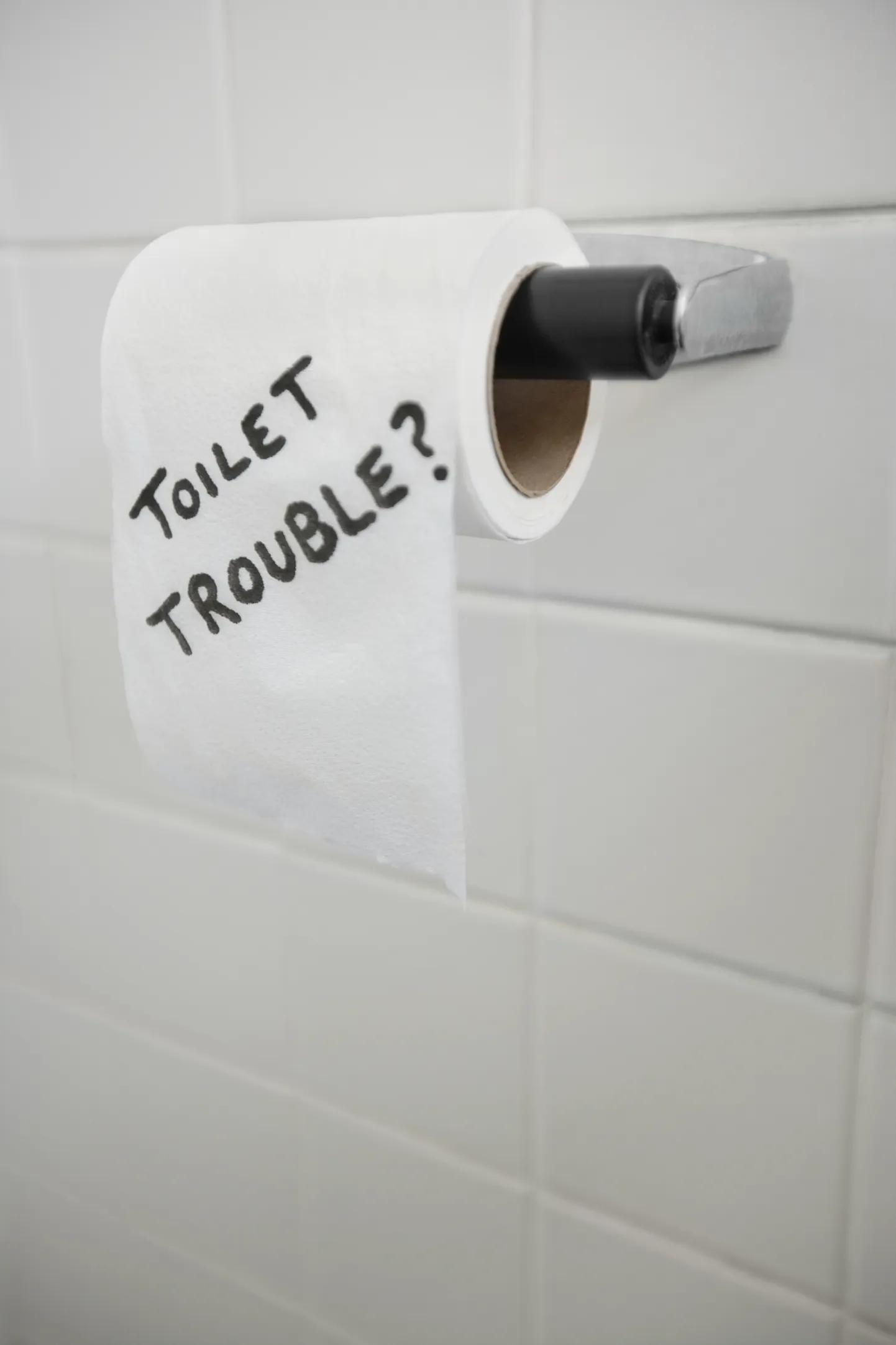 WC-paber