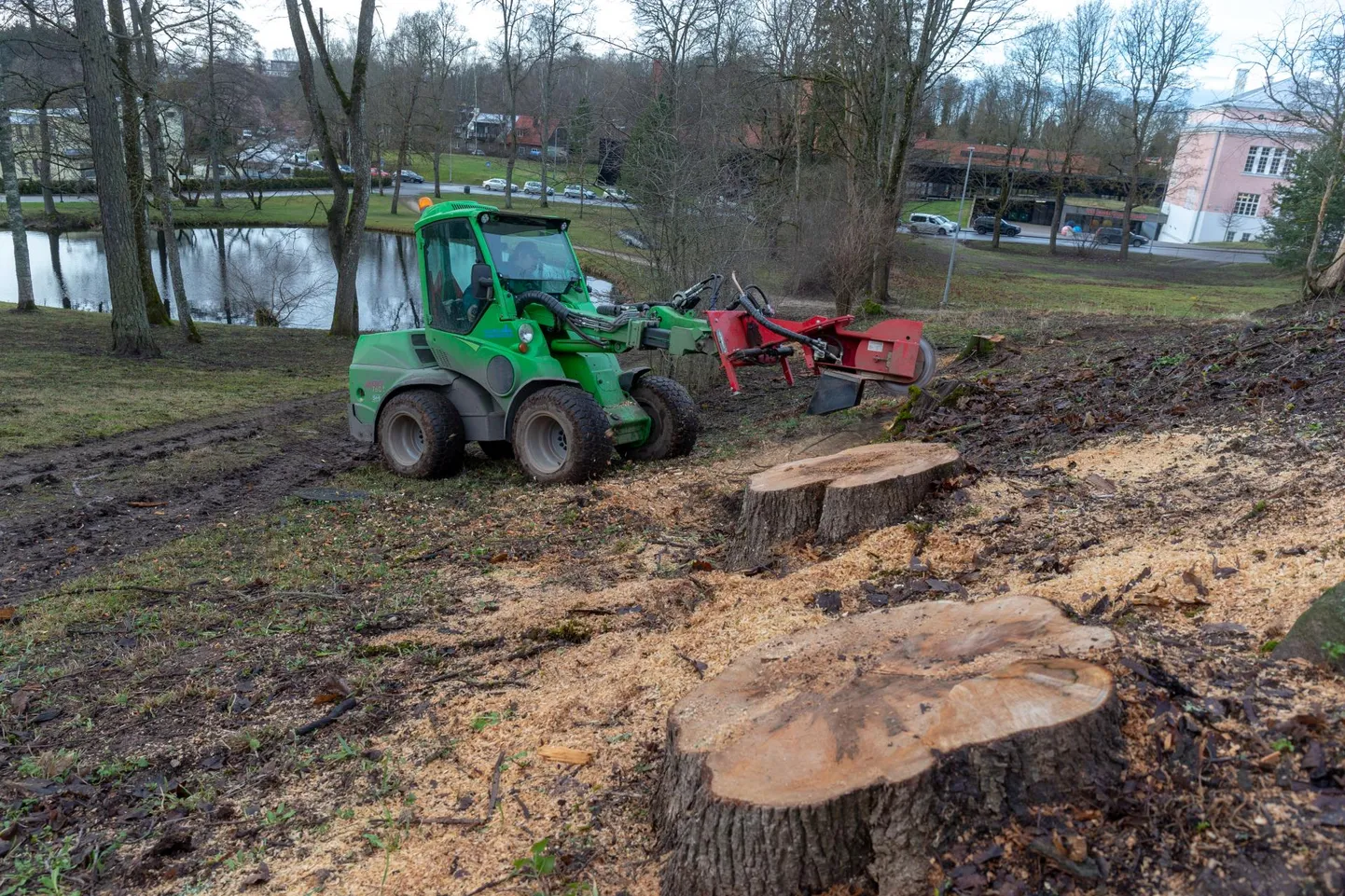 Viljandi linnahoodlus võttis hiljuti Viljandi mõisa tagant maha ajahamba poolt puretud puid.
