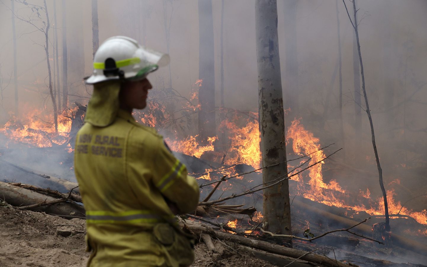 Tuletõrjuja hoidmas Austraalia Bodalla lähistel silma peal põlengul, millega tema kolleegid üritavad piirata riiki räsivate metsatulekahjude levikut.
