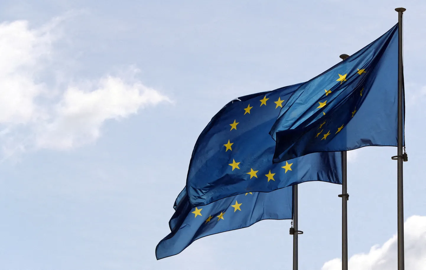 Euroopa Liidu lipud lehvimas.