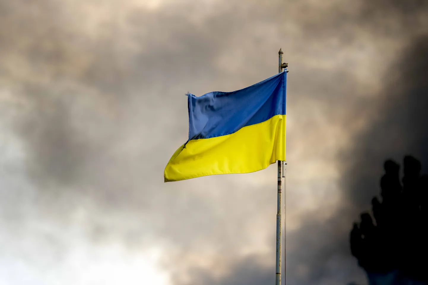 Euroopa Äriassotsiatsiooni (EBA) liikmetest 70 protsenti pole peatanud investeeringuid Ukrainasse.