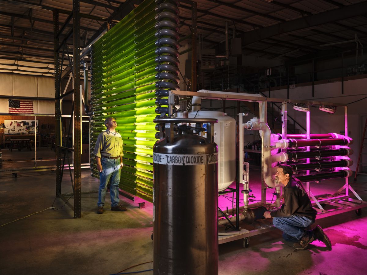 Meeskond kontrollimas vetikaid bioreaktoris CLEARAS peakorteris Missoulas, Montanas USAs 21. oktoobril 2019. Tehas puhastab jäätmevett kasutades vetikaid, filtreerimaks välja lämmastikku, fosforit ja teisi kemikaale. Tulemusena järele jäävat vetikate biomassi taaskasutatakse omakorda näiteks jalatsitaldade valmistamiseks.