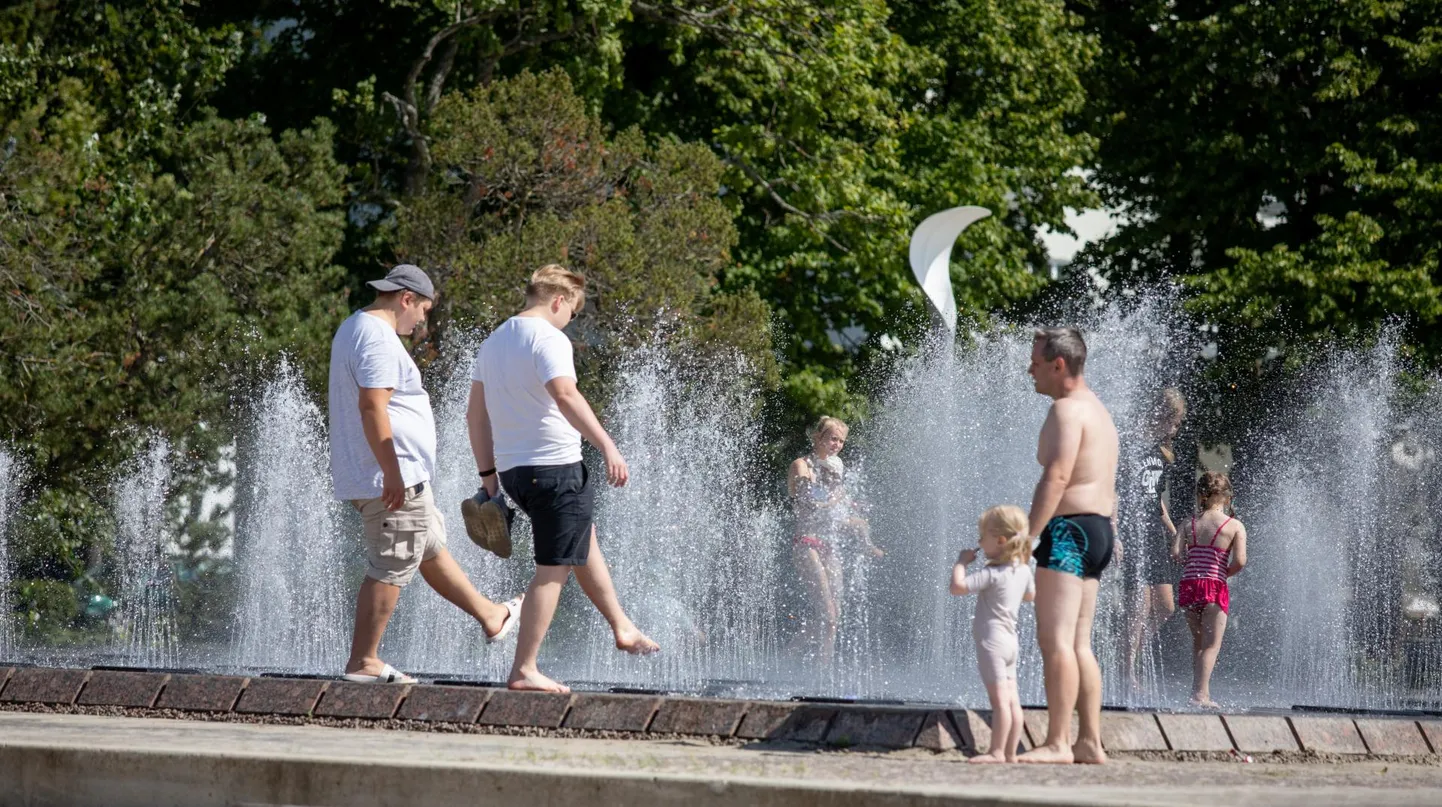 Kalad on argitoimetustest väsinud ning soovivad puhata ja elu nautida.