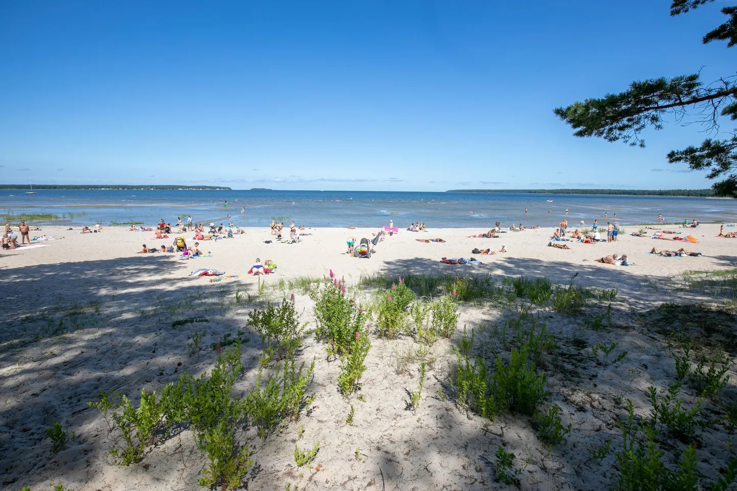25.07.2019. Võsu, Lääne-Virumaa. FOTOL: Võsu rand, rannalised, suvi FOTO: Ain Liiva/Virumaa Teataja