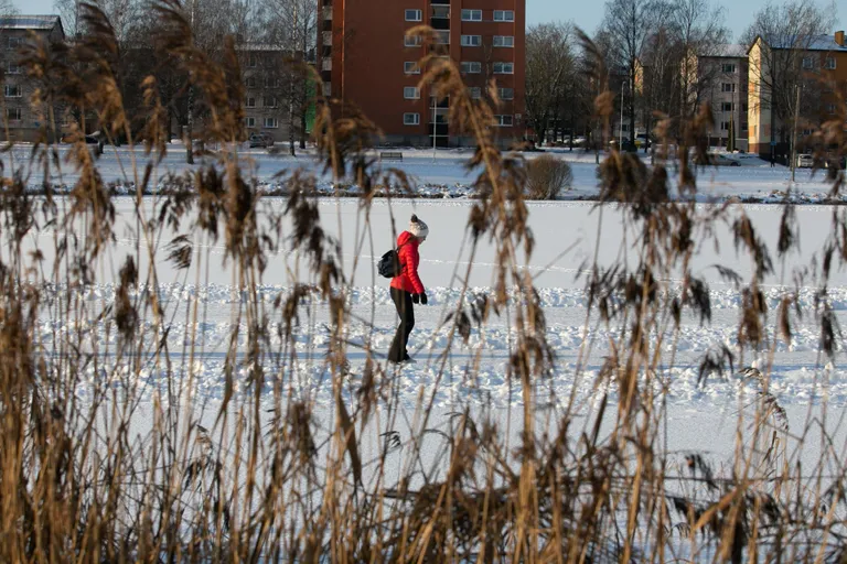 Paala järv ootab uisutajaid. Viljandi järve jääl tuleb lasta veel veidi kasvada.